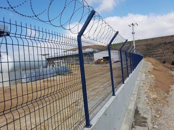 أفضل أنواع الشبوك بالشرقية الخبر